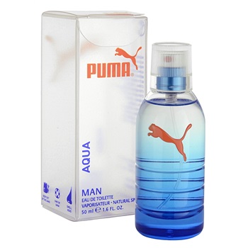 pumaqum_aedt20.jpg